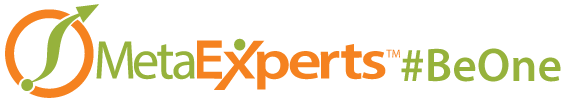 MetaExperts Logo