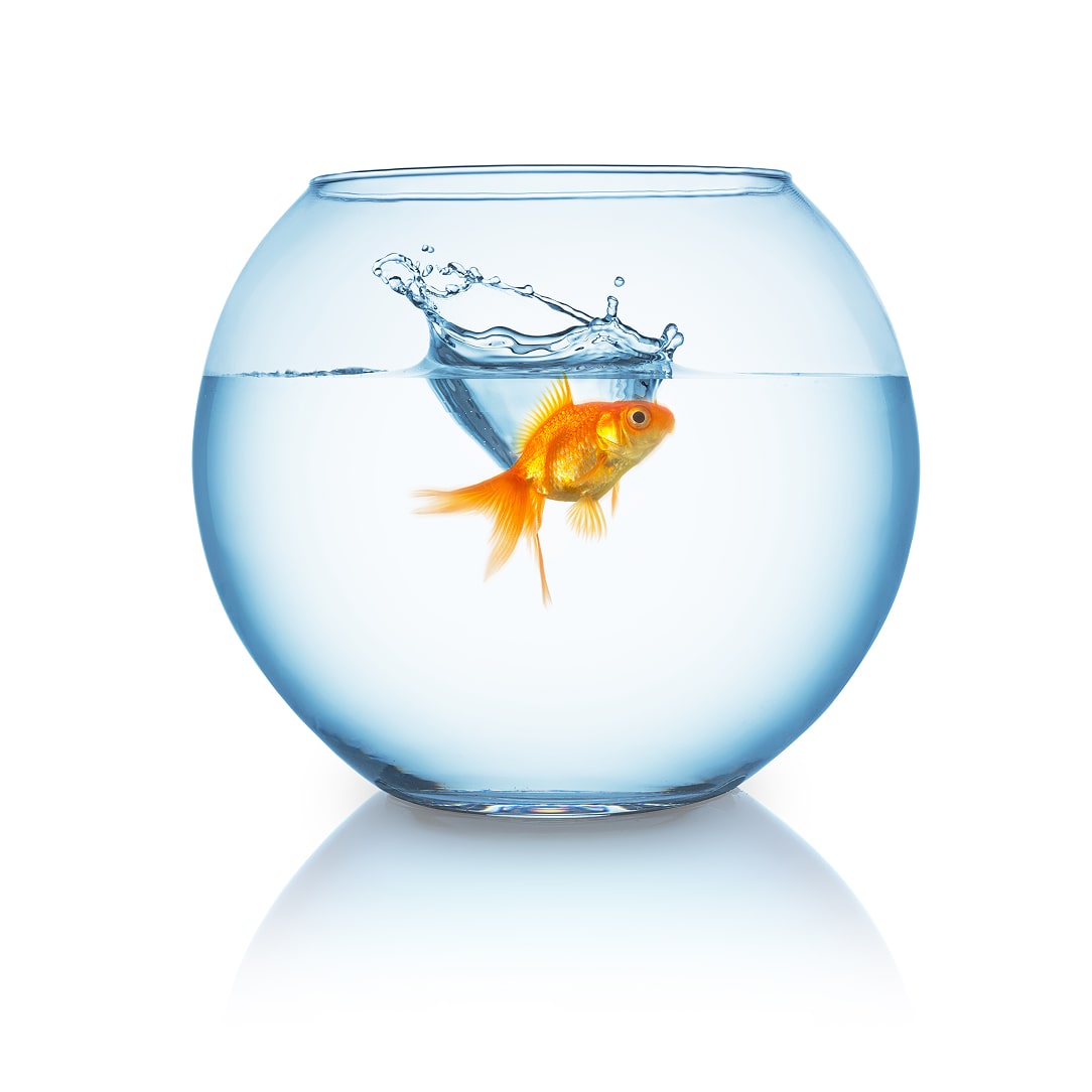 A goldfish swims in a clear glass bowl with splashes of water creating ripples on the surface.