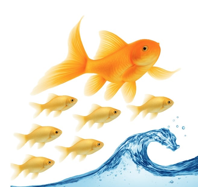 A vibrant orange goldfish leaps above a group of smaller goldfish, near a swirling ocean wave with bubbles.